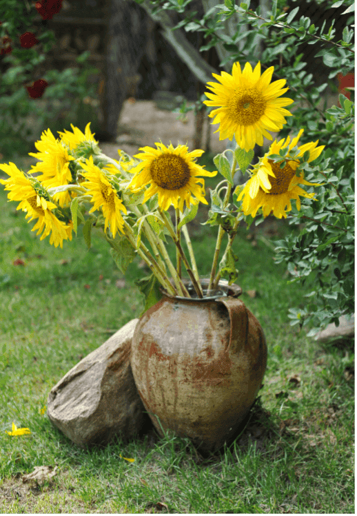 칼로리를 소모합니다